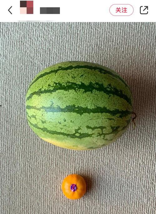 最全吃瓜在线观看,在线观看一网打尽！