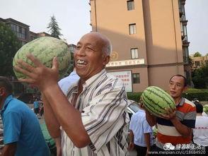 美国现场吃瓜,揭秘美国街头文化盛宴