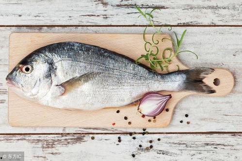 吃瓜喂鱼视频,趣味互动，共享欢乐时光