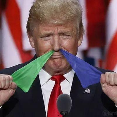 吃瓜群众pitt,揭秘娱乐圈背后的故事