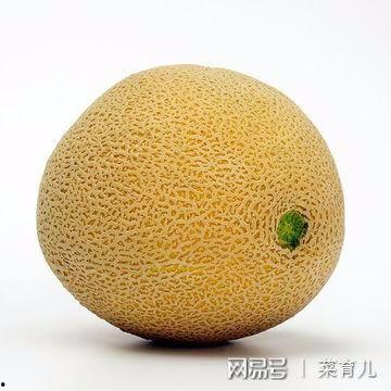 黄河蜜瓜小孩吃,儿童夏日健康美味新选择