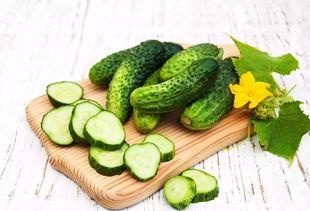 吃一整条瓜,探寻美食之旅的无限可能