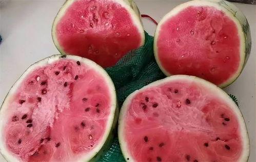 吃瓜辨真假,揭秘网络谣言背后的真相