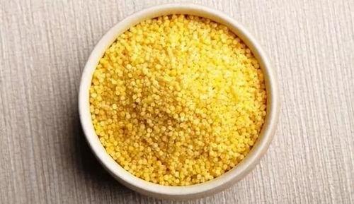 吃瓜盟主评小米,小米的崛起之路