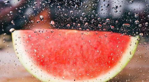 秋风冬雪吃瓜真棒