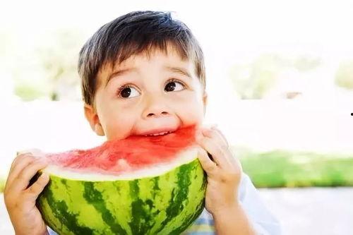 秋风冬雪吃瓜真棒