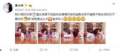 谢娜李小冉吃瓜,娱乐圈的“姐妹情深”？