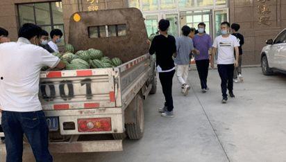 金乡吃瓜新闻事件,一场引发全民热议的“瓜田风波”