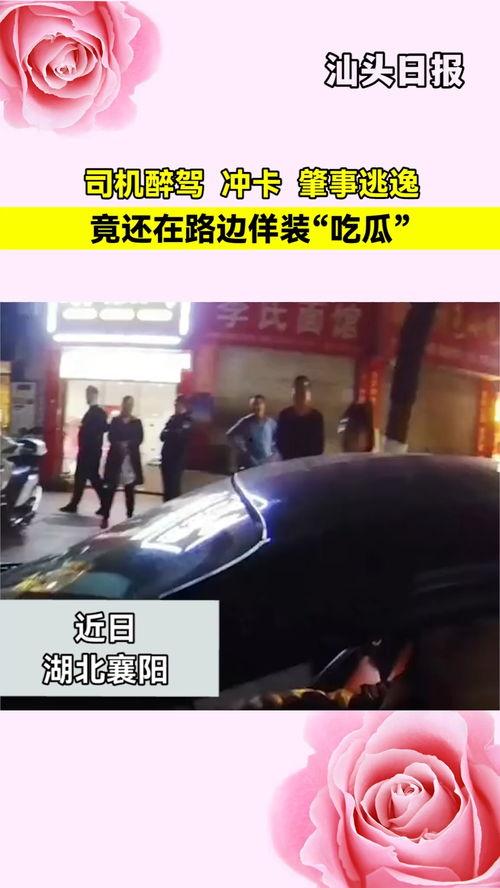 酒驾司机假装吃瓜,真相令人咋舌！