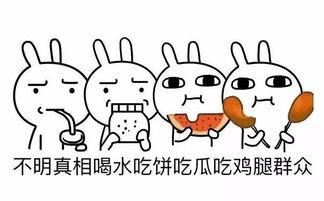 吃瓜群众的诗,品味人间烟火