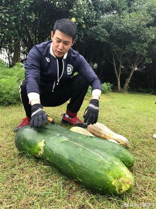 给个瓜吃照片,揭秘“给个瓜吃”照片背后的故事