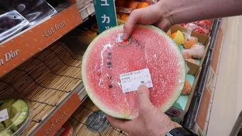 韩国群众吃瓜图片