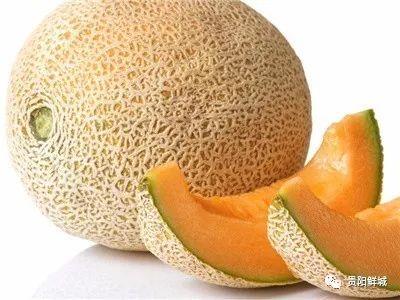 公鸡吃哈密瓜,与哈密瓜的意外邂逅