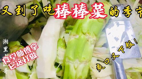 海城老师吃瓜