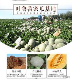 吃瓜群众长清大学,吃瓜群众眼中的校园风云录