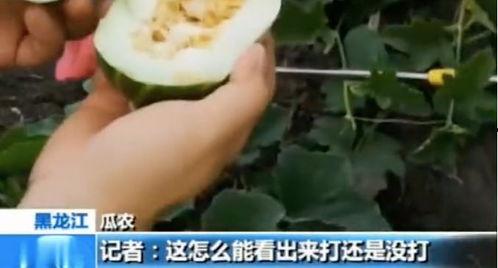 南通近期吃瓜事件,揭秘近期网络热议事件背后的真相